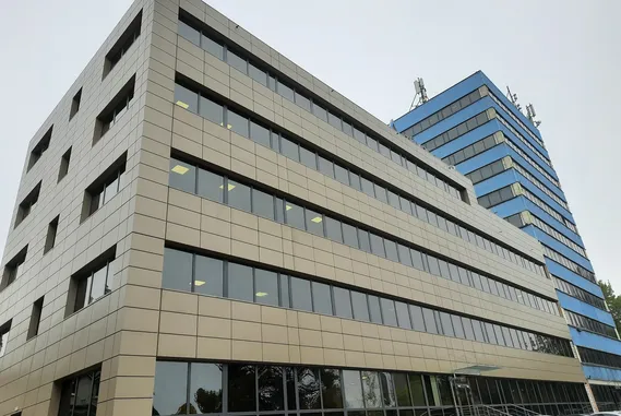 Biuro Wolności 347