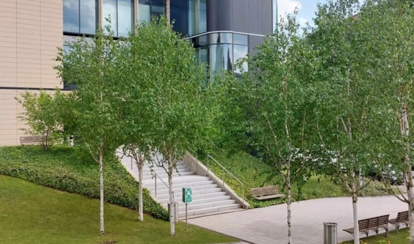 Biuro Wilanów Office Park C