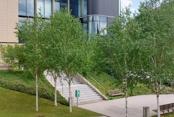 Biuro Wilanów Office Park C